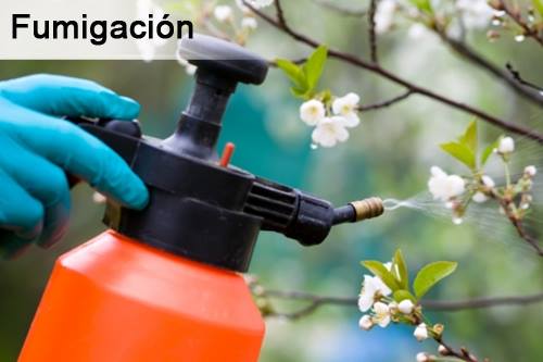fumigacion en el salvador