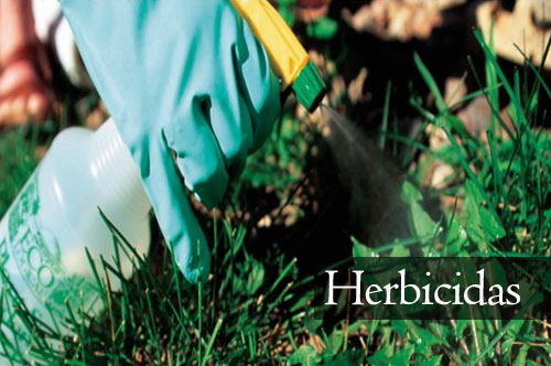 herbicidas en el salvador